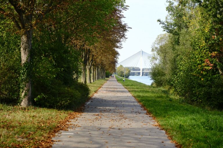 Entrümpelung Purkersdorf – Schnell & Fair Tulln an der Donau: Räumungsarbeiten und Kontakt