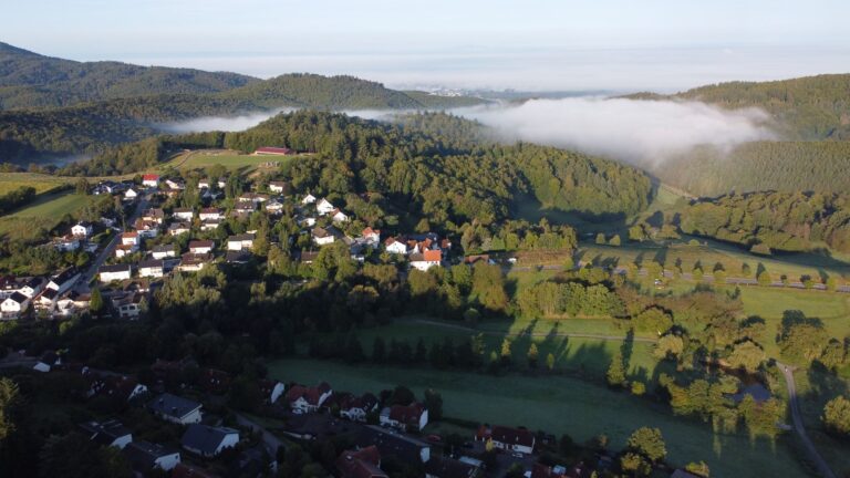 Kallinger Entrümpelung & Räumung Ried im Innkreis: Räumungsarbeiten und Kontakt