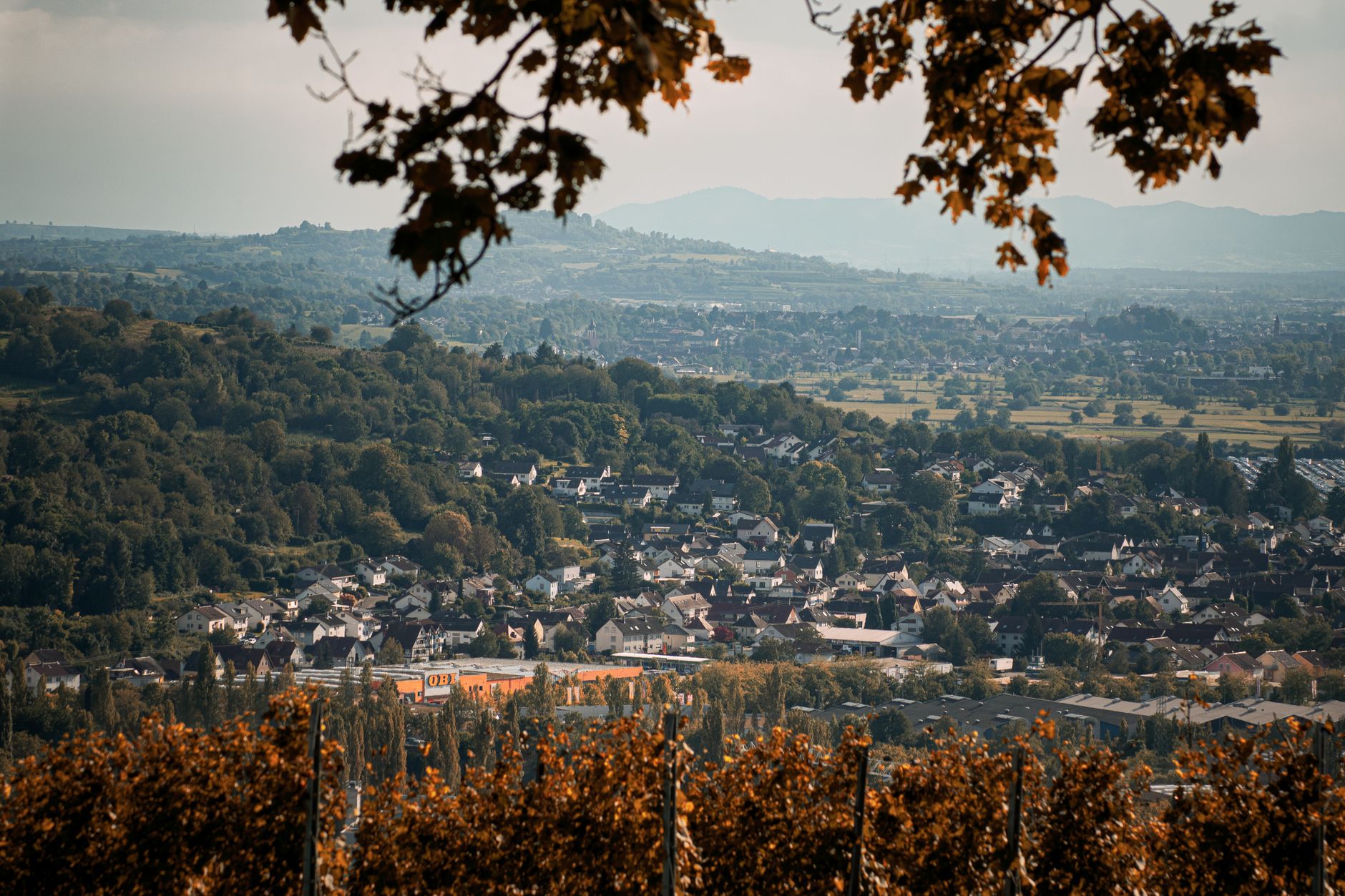 Entrümpelung einer Wohnung oder Wohneinheit in Bad Ischl