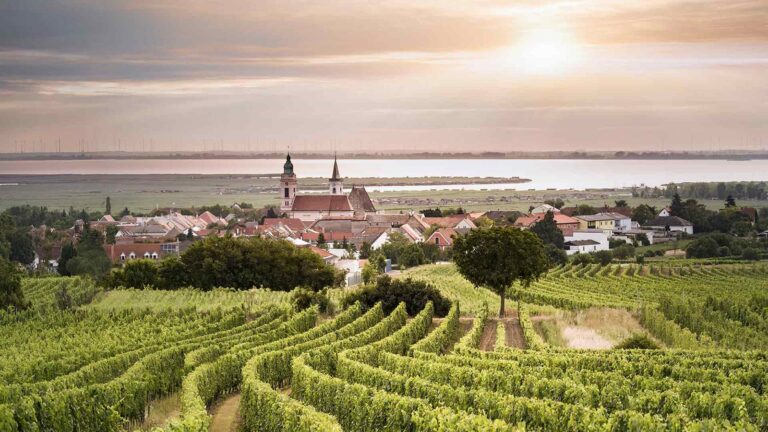 Professionelle Entrümpelung Burgenland – Ihr Partner vor Ort Eisenstadt: Räumungsarbeiten und Kontakt