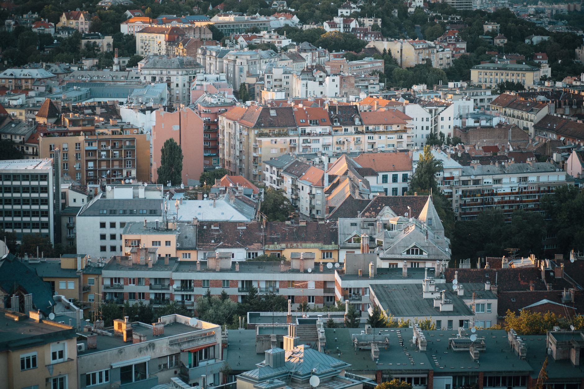 Kellerräumung und Räumungsservice in Lienz: Entrümpelungsfirmen im Überblick
