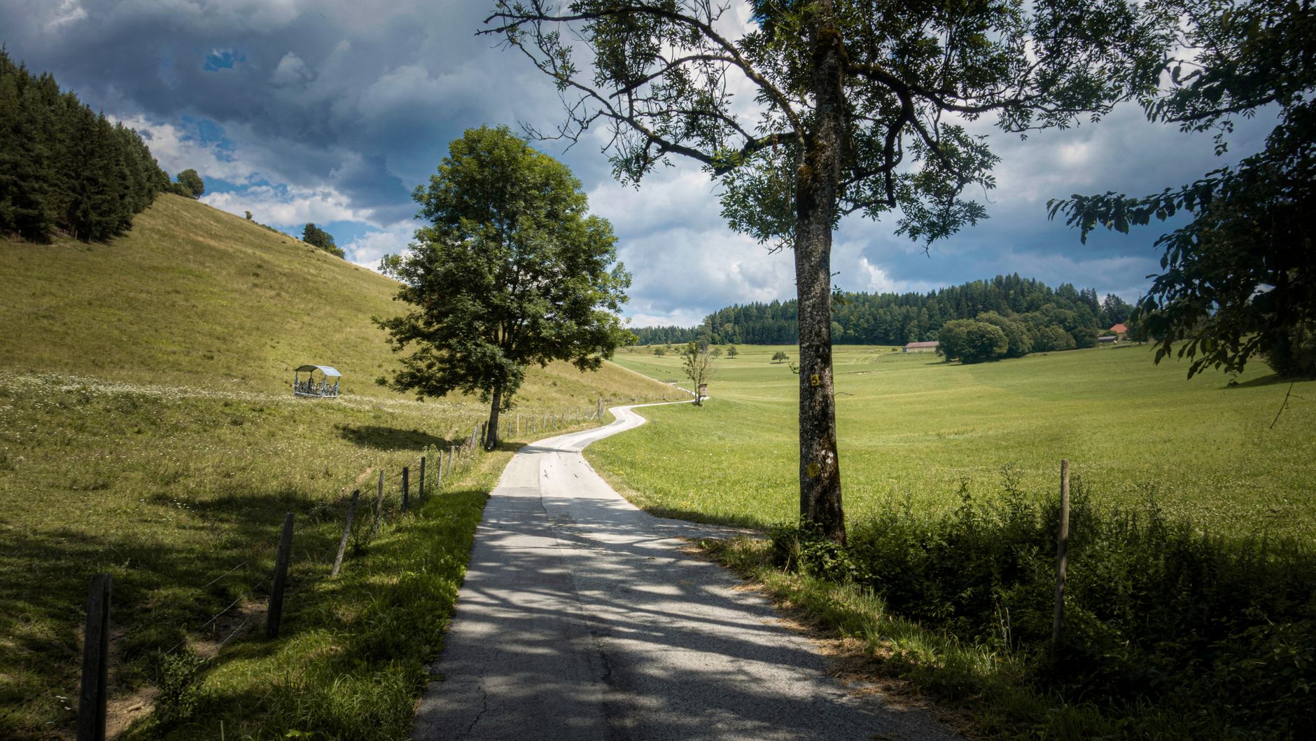 Veki Hausbetreuung - Entrümpelungen in Klagenfurt am Wörthersee